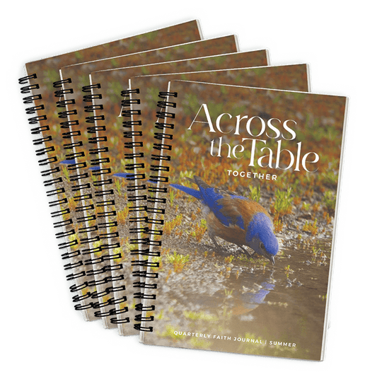 Across the Table: Together — 5-Pack — Summer