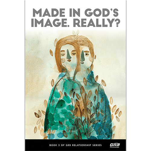 Made in God's Image. Really? [Book]