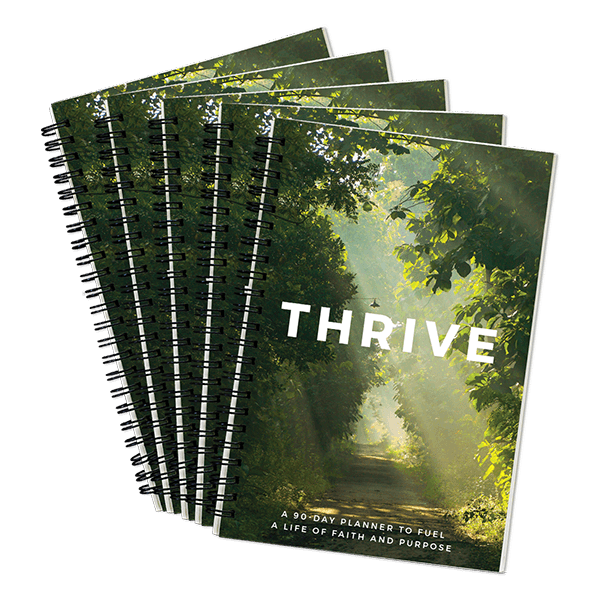 THRIVE: A 90-Day Planner 5-Pack